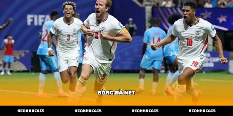 Tìm hiểu vai trò của bóng đá net trong cá cược