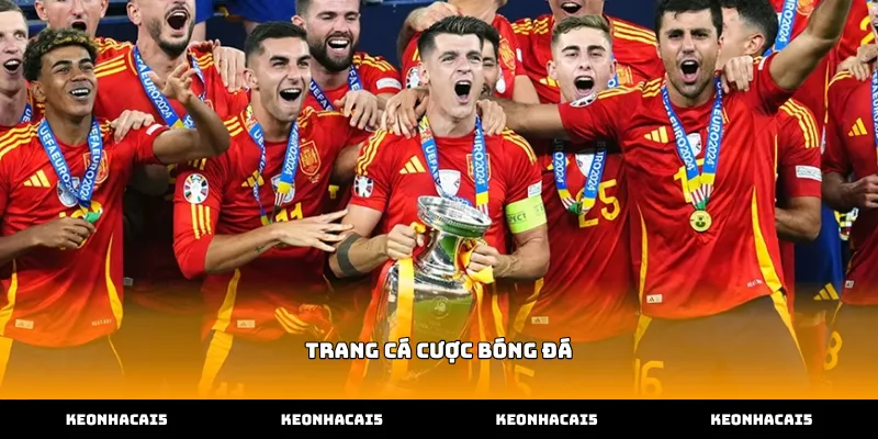 Tìm hiểu các tính năng trên Trang cá cược bóng đá trực tuyến